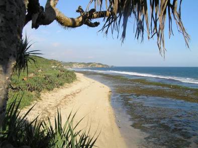 pantai di Wonosari &amp; makanan khasnya,JOGJAKARTA