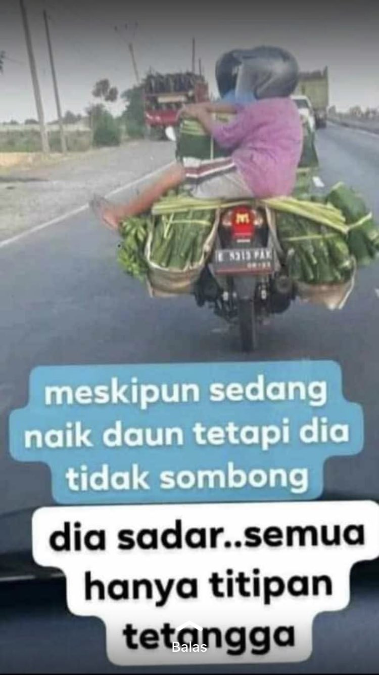 10 Status lucu bapak-bapak &amp; ibu-ibu di WhatsApp ini receh abis