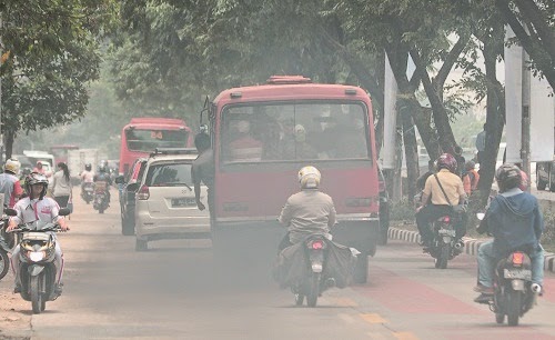 Kunci Hidup Panjang Umur: Tinggal di Desa