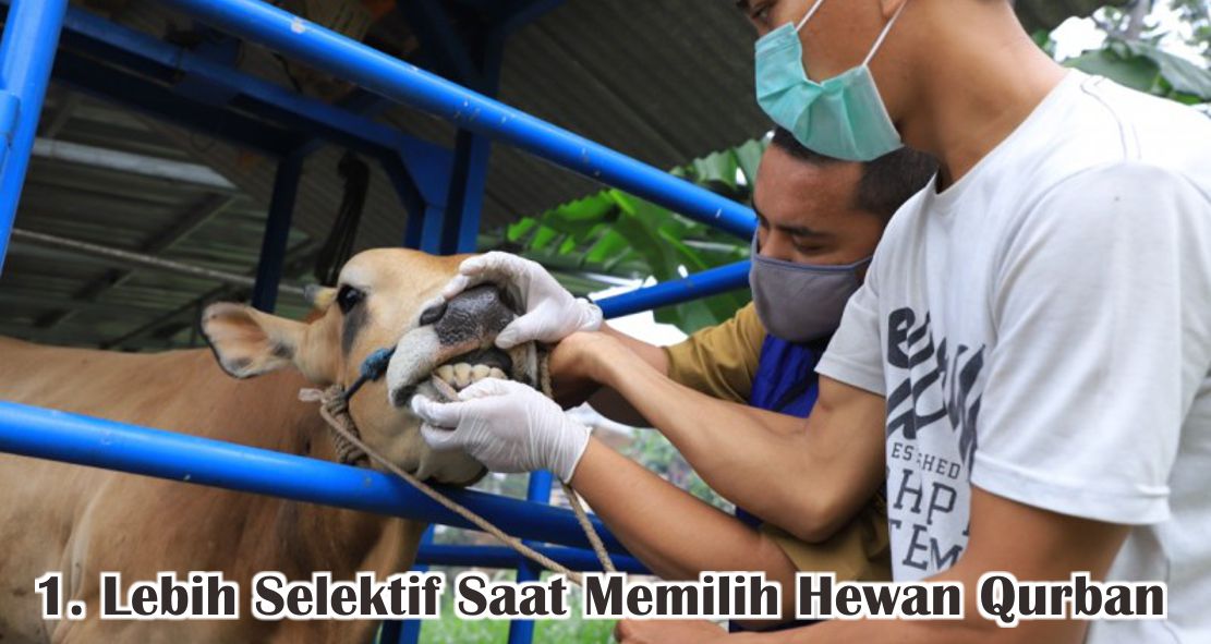  Tata Cara Laksanakan Qurban Dengan Aman Ditengah Pandemi !