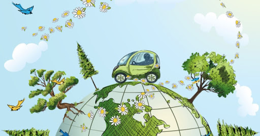 ruang-lingkup-ekologi-ekologis