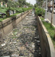 luar-biasa---hanya-di-jepang-ikan-koi-bisa-hidup-di-got-kapan-indonesia-bisa