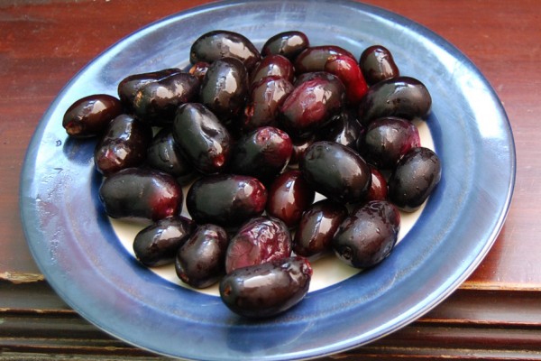 quotpohon-buah-ini-tumbuh-liar-dibelakang-rumah-banyak-orang-yang-memintaquot-ternyata