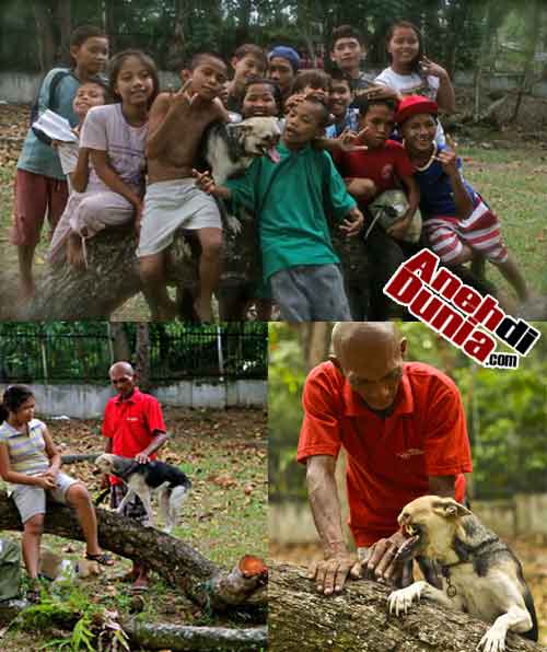 Kisah Kabang Anjing Penyelamat Anak Kecil