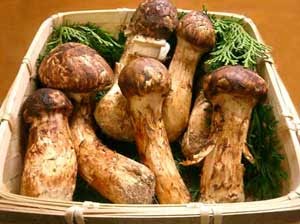 Jenis Makanan dan Minuman Termahal di Dunia