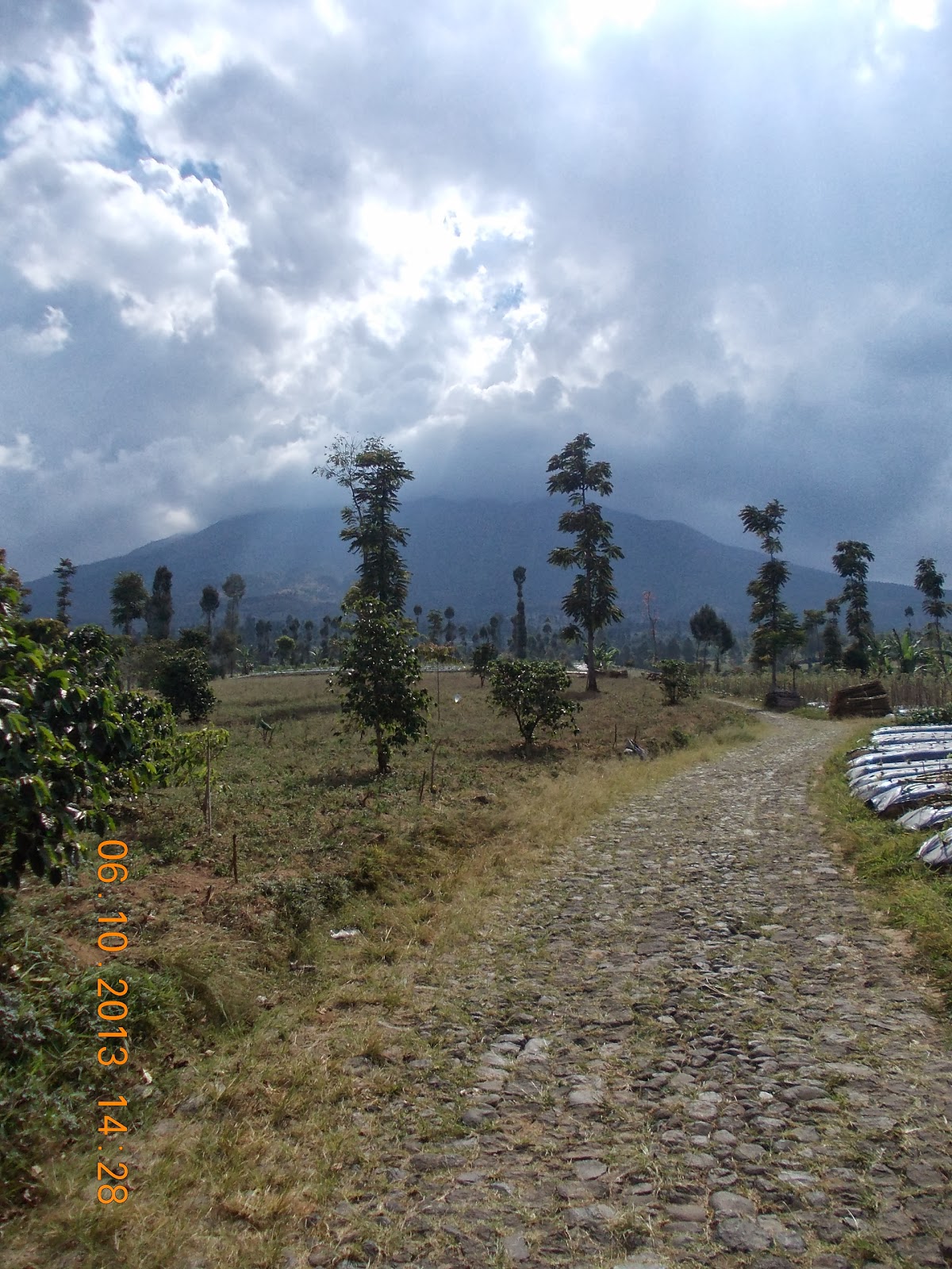 Sindoro Jalur Bansari