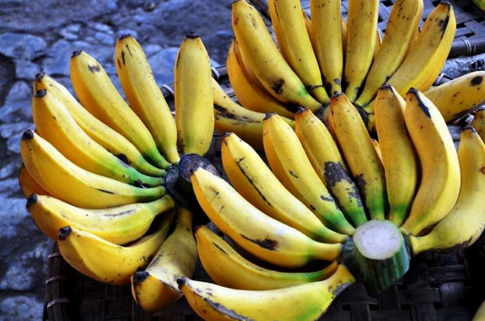 RIVIEW!!!!!....Mengenal Filosofi Pisang Raja dan Resep Olahannya