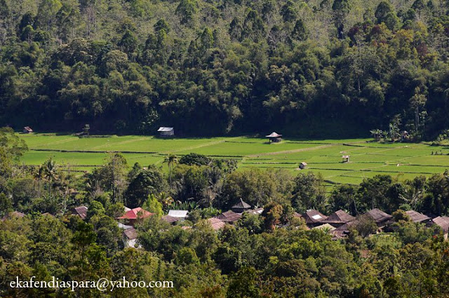 Gunung Pesagi Surganya para Pendaki