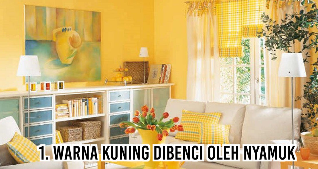 Iniloh Benda-benda Yang Dibenci Nyamuk 