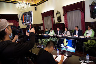 Panda Raksasa di Macau Lahirkan Anak Kembar