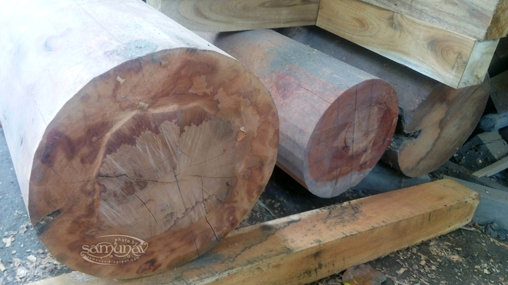 Berbagai Jenis Kayu untuk Membuat Mok Yan Jong