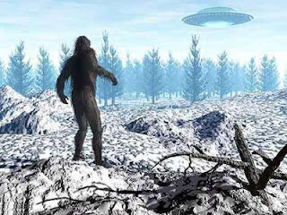 Misteri di Bridgewater