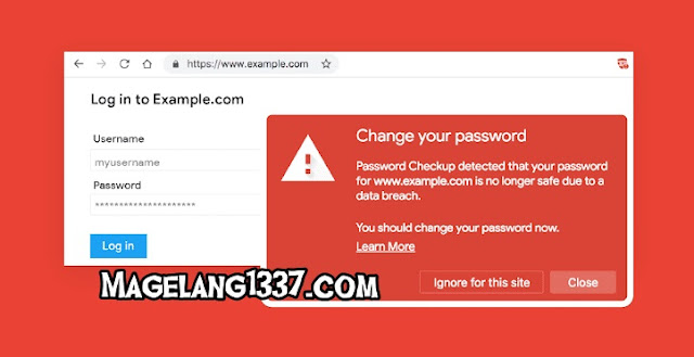 Password Kamu Bakal Aman Pake: Password Checkup Chrome Ekstensi