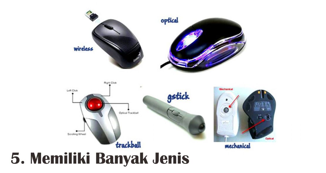  5 Fakta Unik Seputar Mouse Yang Perlu Kamu Ketahui !