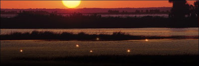 Corpse Candle, Fenomena Lilin Kematian