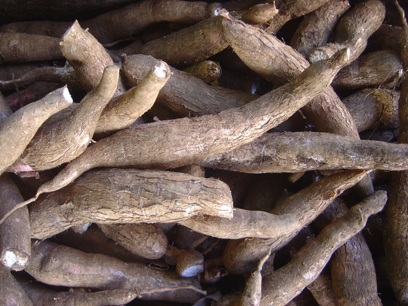  7 Makanan Pokok di Dunia Gak Salah Utuk Di Simak