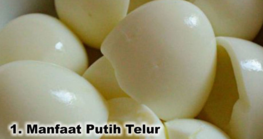Perbedaan Kuning Dan Putih Telur Yang Wajib Kamu Tau ! 