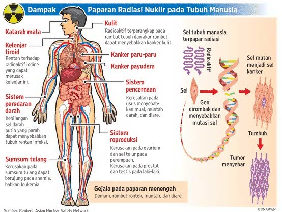 Bahaya Radiasi Nuklir Bagi Kesehatan Tubuh Manusia