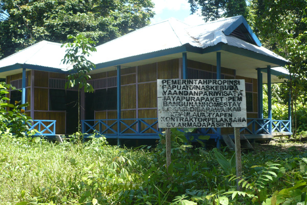 &#91;Surga Di Kampung Barawai&#93; bird of paradise Tanah Air Kita Indonesia :iloveindonesia