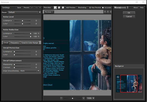 Panduan Cara Install Noiseware Adobe Photoshop 2020
