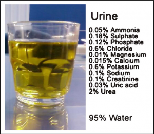 madinah-city-kawasan-khusus-muslim-di-bekasi