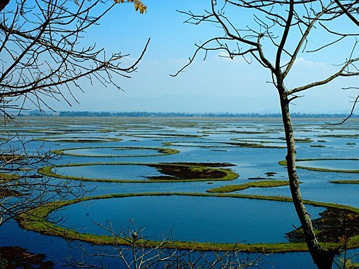 Unik! Inilah Pulau-pulau yang Bergerak Sendiri