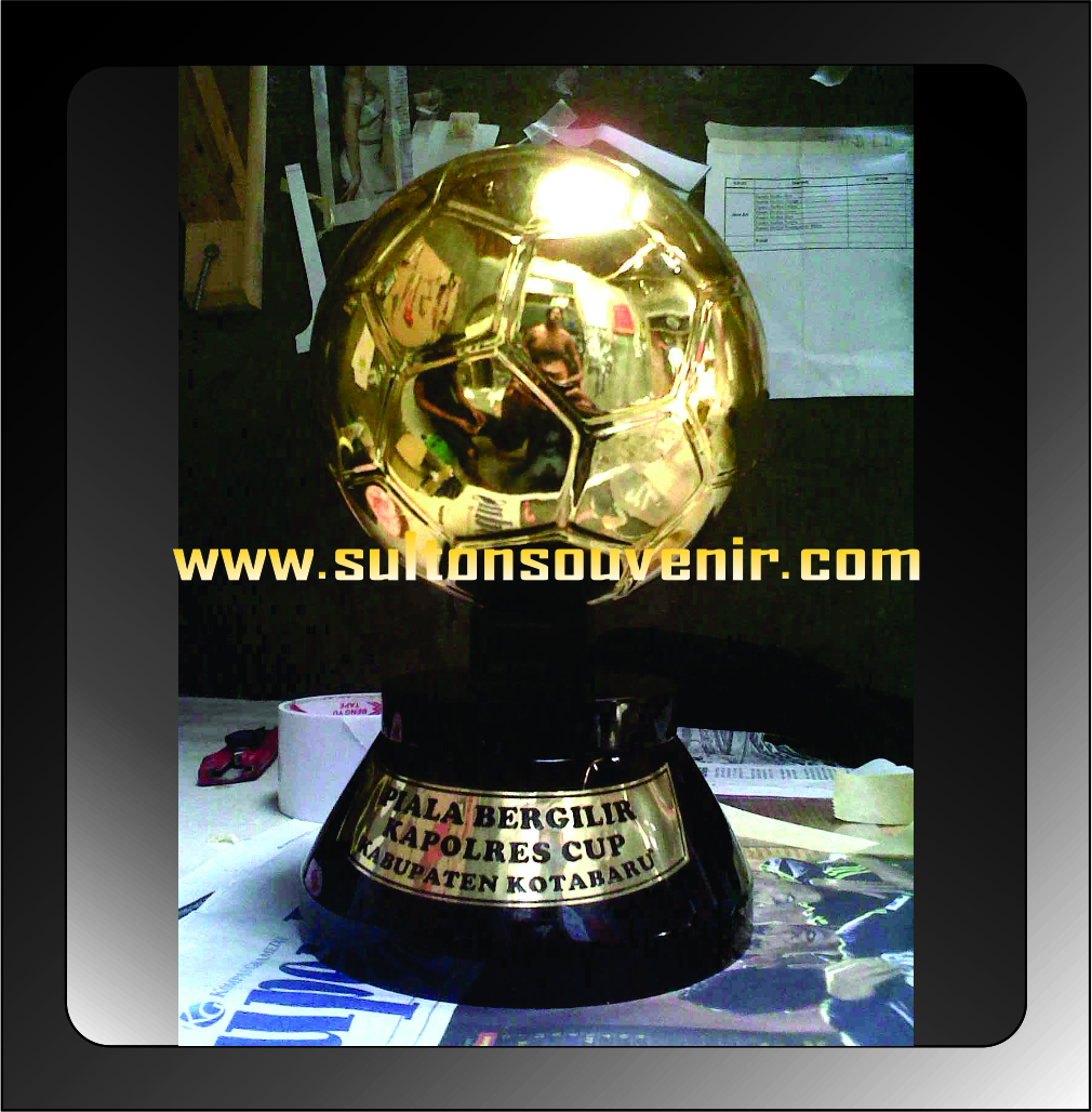 plakat fiber,medali,pin,piala,dll