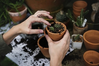 Berkebun Bisa Mengatasi Depresi Dan Rasa Cemas