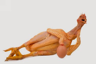 Kumpulan Photo Ayam Kampus :matabelo