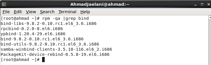 share: Instalasi DNS Server Di Scientific Linux 6