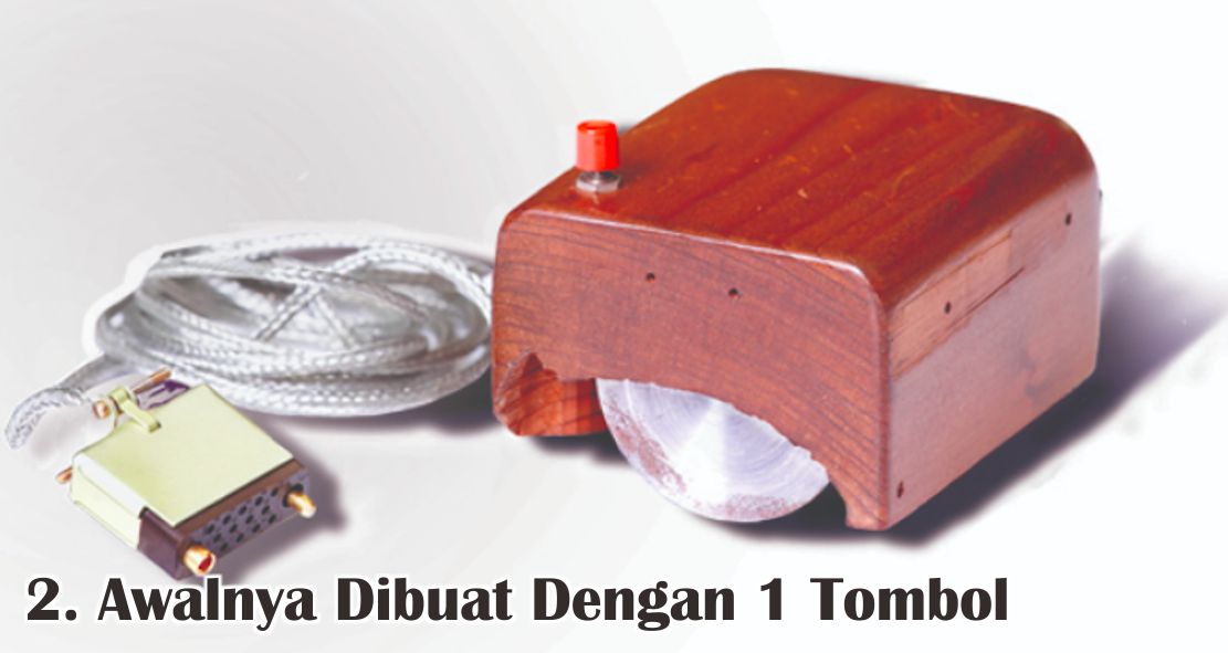 5 Fakta Unik Seputar Mouse Yang Perlu Kamu Ketahui !