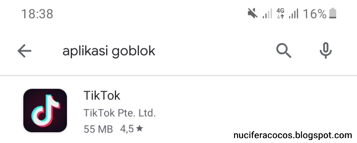 Aplikasi tiktok dulu terbully sekarang populer