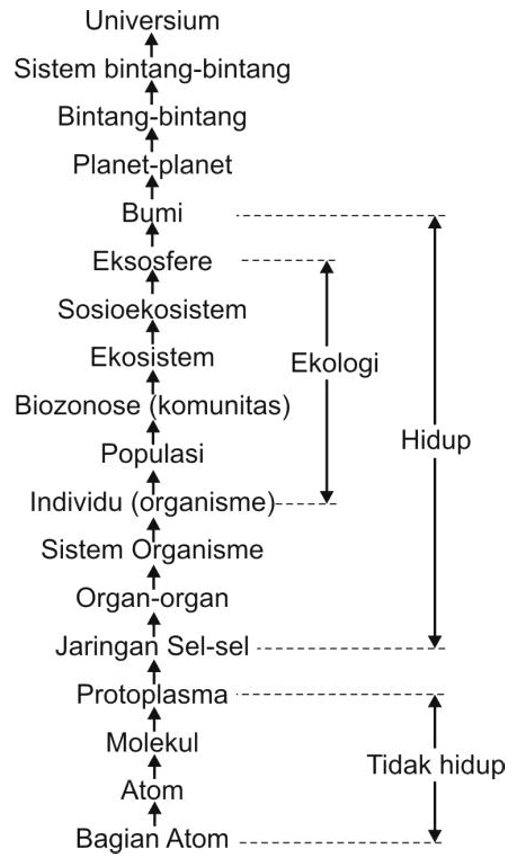 RUANG LINGKUP EKOLOGI/EKOLOGIS