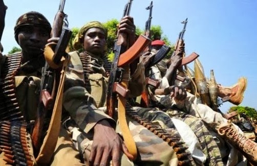 Akhirnya Milisi Muslim Afrika Tengah Bangkit