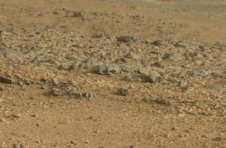 Seorang blogger menemukan Creature di permukaan planet Mars
