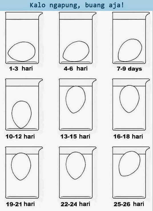 10 Trik Keren di Dapur yang Wajib Anda Ketahui Gansis !