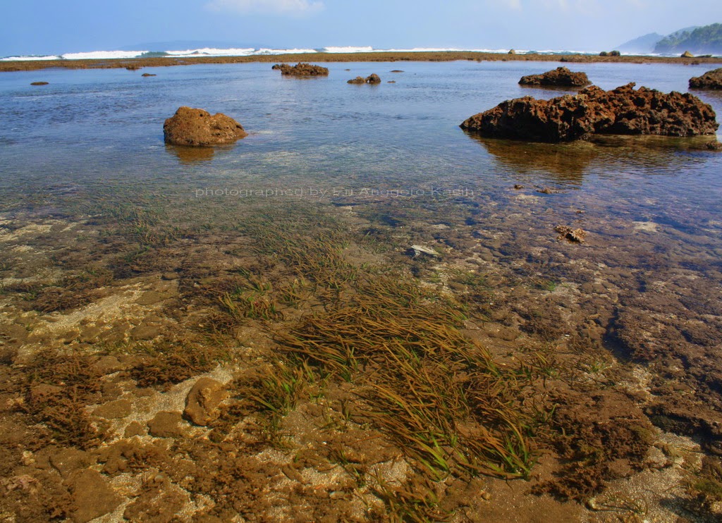 Pesona Pantai Karapyak, Pantai Indah Tersembunyi di 