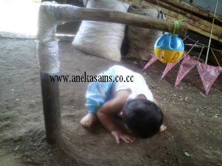 &#91;Video&#93; Cara Tradisional Efektif Melatih Bayi Jalan Sendiri