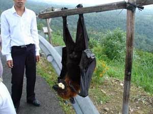 5 HEWAN MISTERIUS YANG KEBERADAANNYA DIRAHASIAKAN