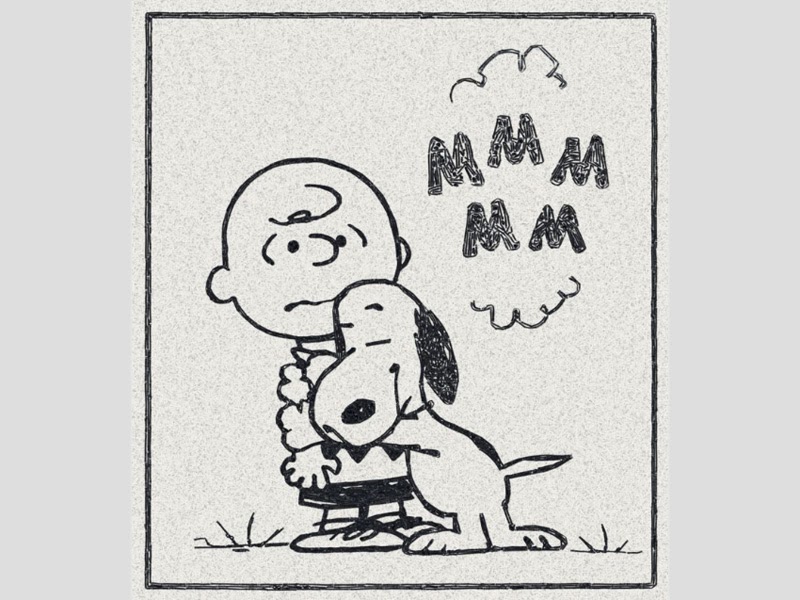 [Amazing] Chris Jordan Sang Fotografer Limbah yang Mengagumkan