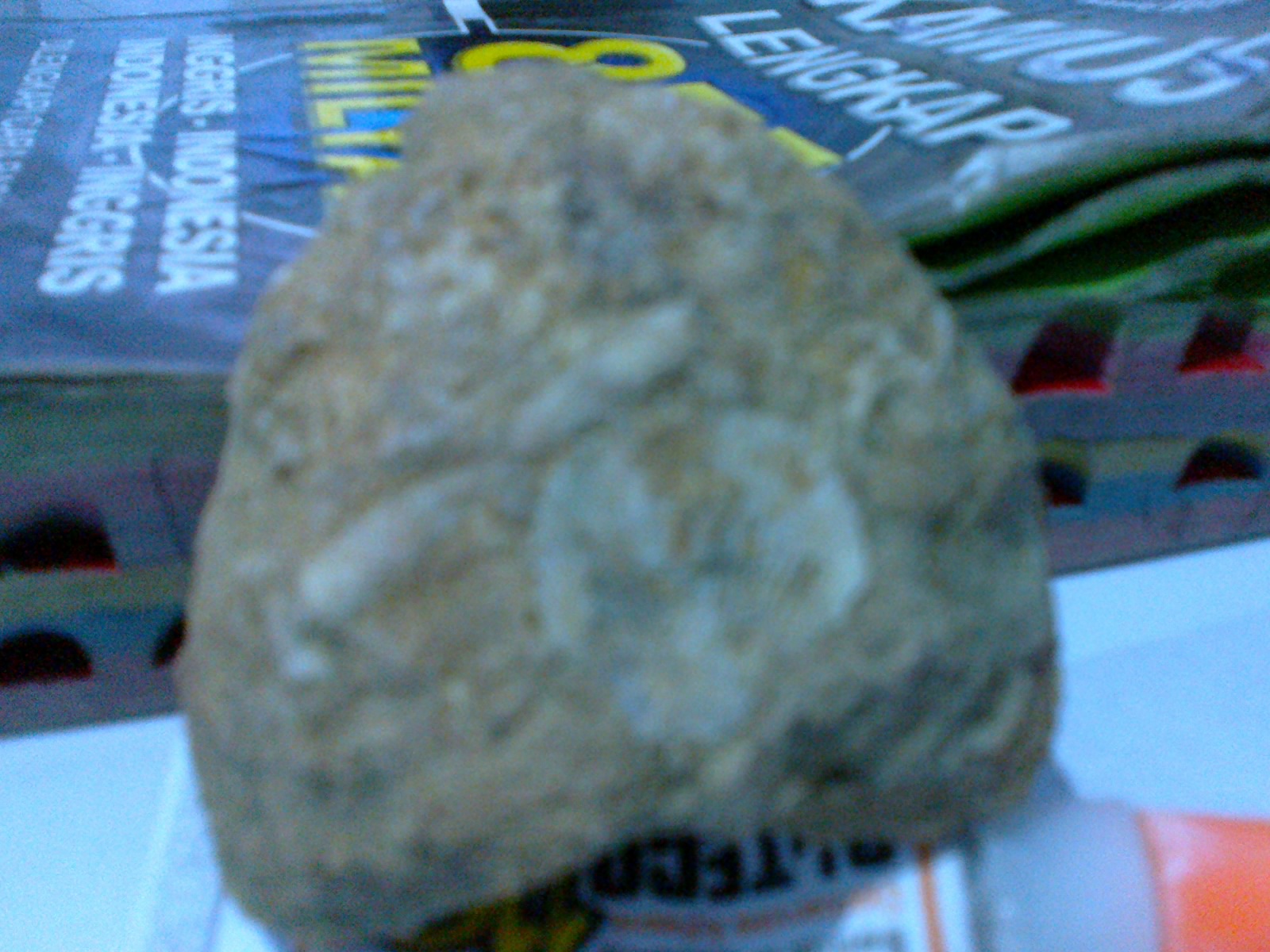 Hasil temuan Fosil - fosil ane ... : )