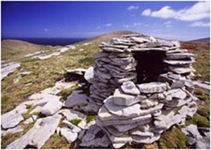 7 Kisah Nyata Terdampar Di Pulau Tak Berpenghuni