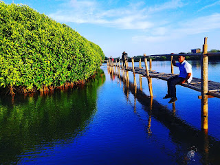 menikmati-senja-di-jembatan-hutan-mangrove-wana-tirta-kulonprogo