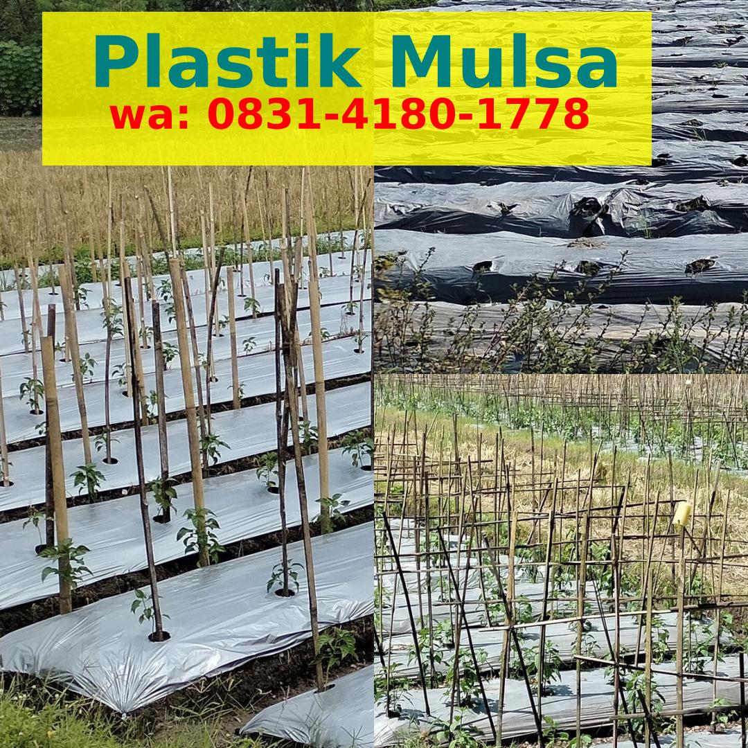 Mulsa Plastik Untuk Tambak Ô831_Ꮞ18Ô_1ᜪᜪ8{WA}