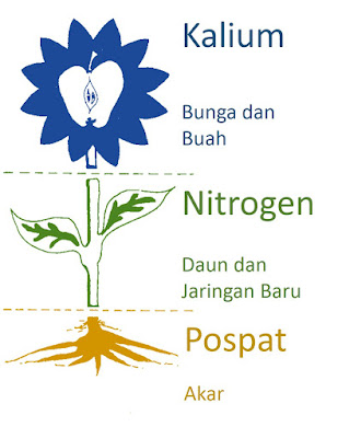SHARING ILMU MERACIK AB MIX NUTRISI HIDROPONIK