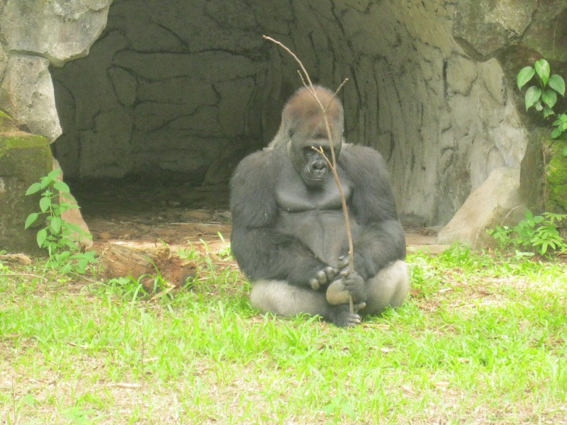 spectre-soccer-room-2013-2014------part-3