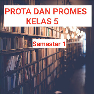 prota-dan-promes-kelas-5-semester-1-2021-2022