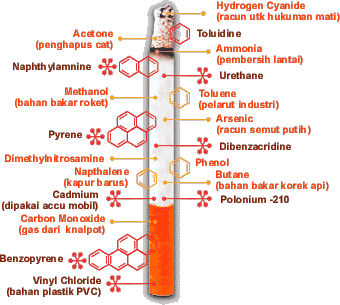 Bahaya Merokok &#91;mau sehat masuk&#93;