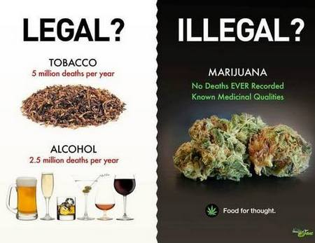 Kenapa Ganja ILEGAL, tapi Rokok &amp; Alcohol LEGAL