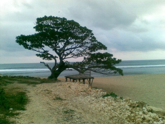 PANTAI POK TUNGGAL Surga Tersembunyi yang Menantang Nyali